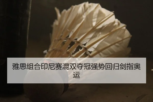 雅思组合印尼赛混双夺冠强势回归剑指奥运